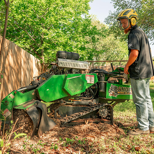 stump grinding