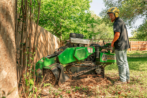 land clearing