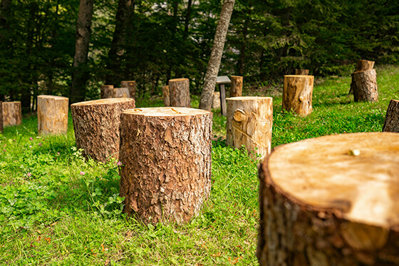 redford tree removal