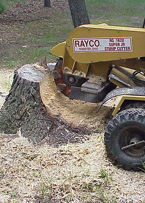 tree stump grinding