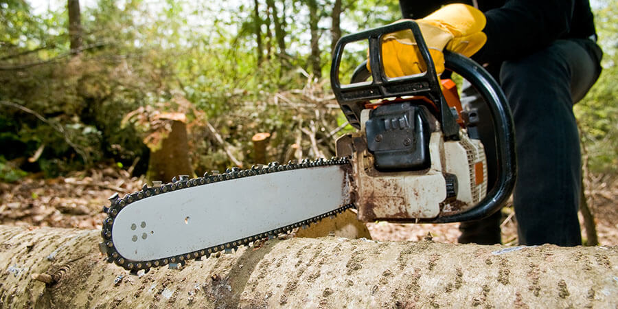 stump removal